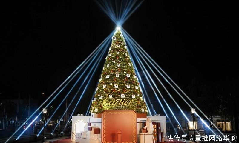 圣诞树|点亮圣诞树,才算点亮圣诞心情