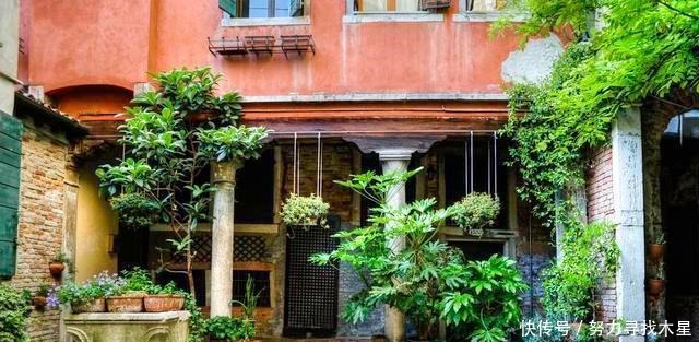 多种树木都想富!「三种树」随手掰一枝,插土生根,来年可以结果