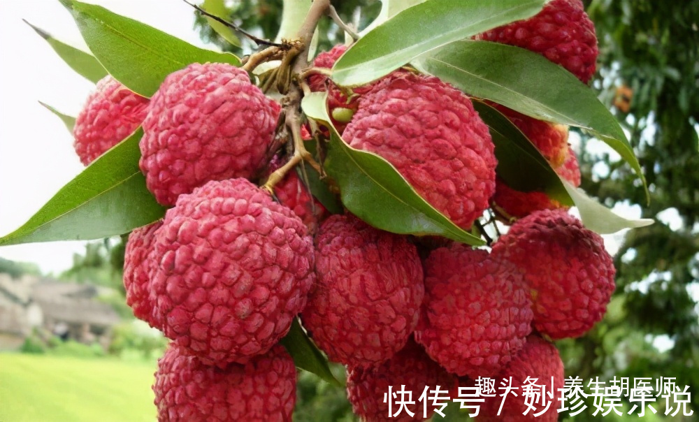 食物|人到中年想长寿,学会吃3种食物,补肝明目,增强体质,有益健康