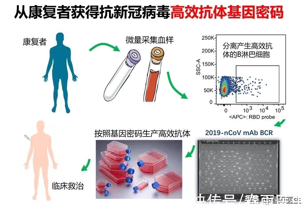 新冠病毒|来了终于来了！国产新冠特效药有望12月底前获批上市