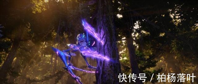 小舞|斗罗大陆动画给出暗示,唐三建立唐门,“前世唐三”要来了