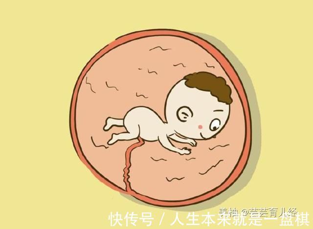 肚子|孕妈在睡觉时,胎儿都在干嘛?第二条不忍直视