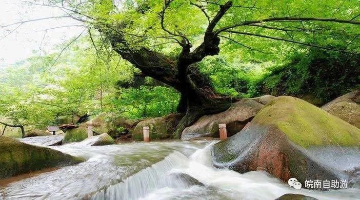 九华山|九华山旁，隐于山野间@邂逅九华山花间堂·雾涧