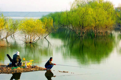 老张|钓鱼人的一天,从头天晚上失眠就已经开始了,你是不是也这样?