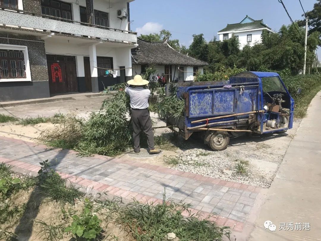 微网格|作用在一线发挥，温暖在一线传递