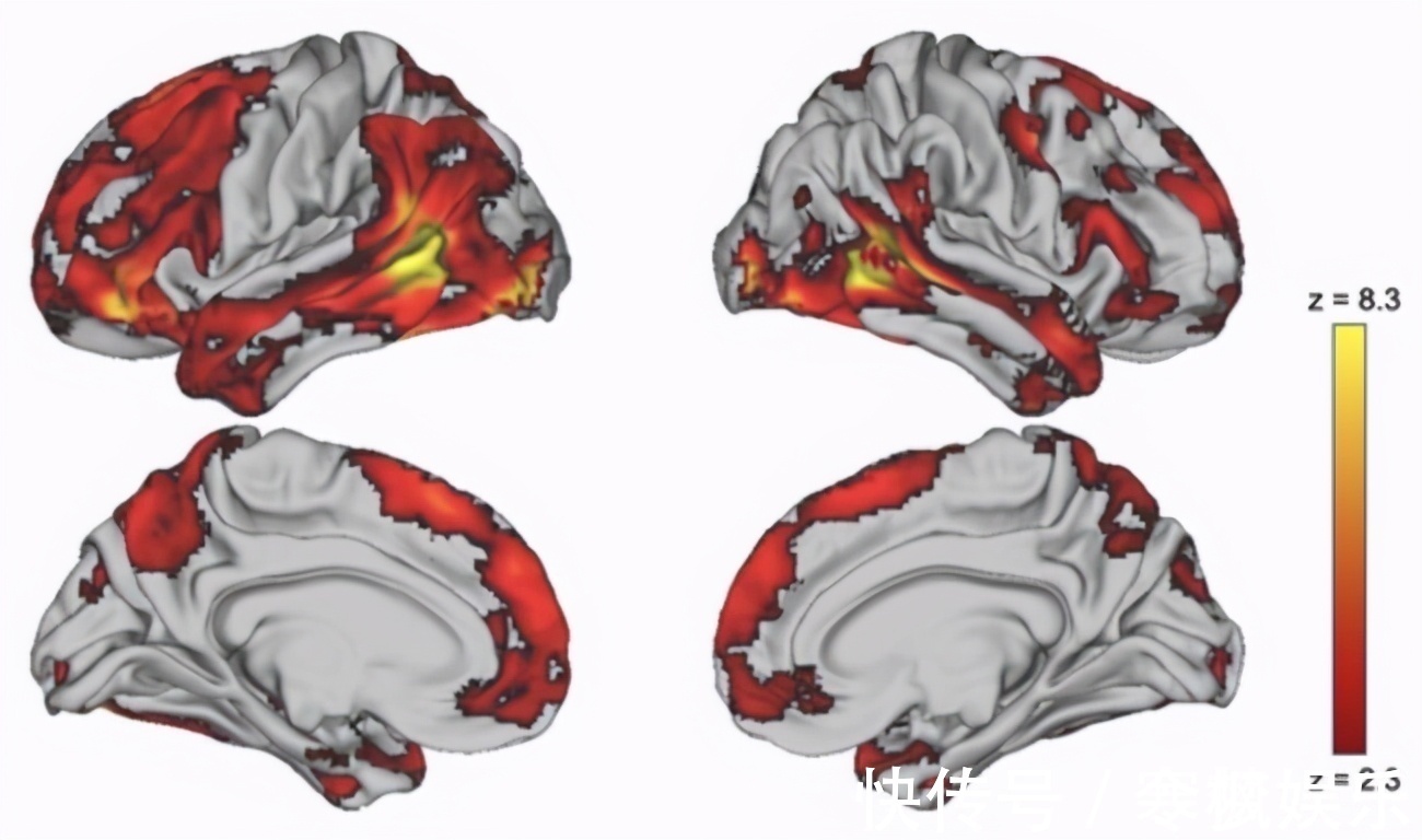 阅读|哈佛研究孩子大脑发育最佳方法并非阅读,这点被家长忽略了