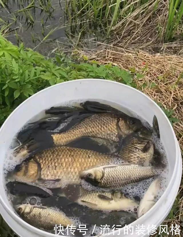 打不中鱼|漂相很稳就是打不中鱼?解决起来挺简单,但要排除一个问题