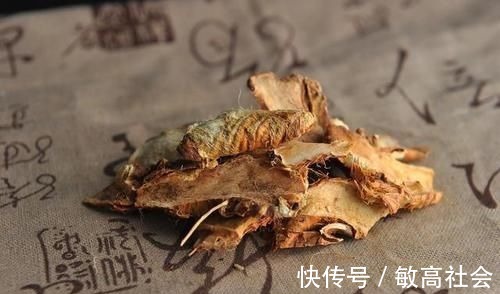 日华子本草|有一味滋阴润燥的中药,李时珍说它“上则清肺,下则润肾”