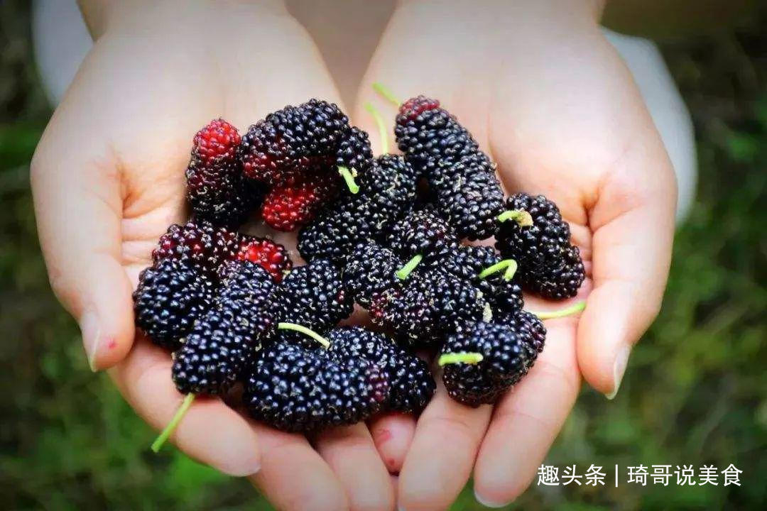 西葫芦|4月宁可不吃肉,也要吃这“4菜2果1豆”,应季而食身体倍儿棒