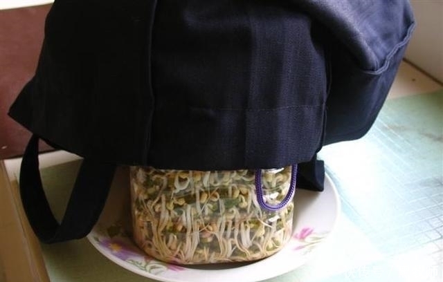 豆芽|豆芽不用买,一个塑料瓶+一把绿豆,够全家吃好几天