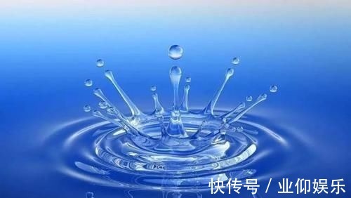 食物|''奔五''的女人别太节俭,7种食物应多吃,或可预防雌激素减少