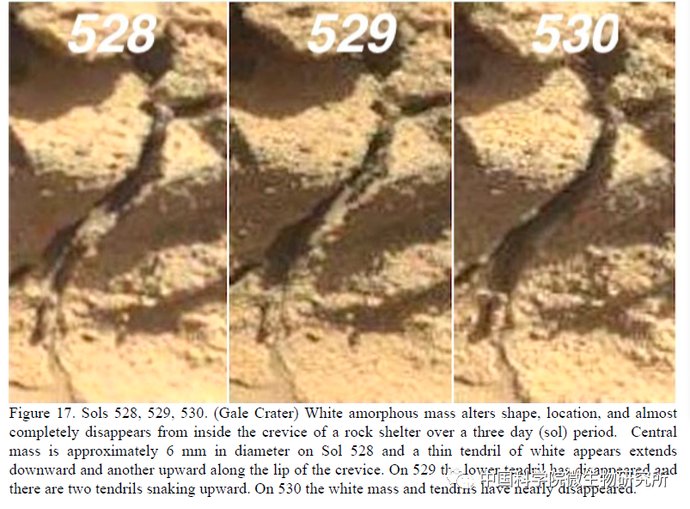 非生物 火星上存在真菌吗？