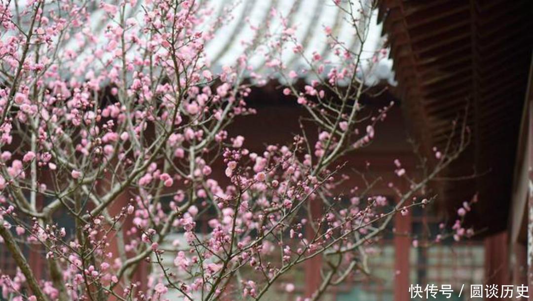 全唐诗&杨万里这首诗美得如诗如画,第一句就是千古名句,从开篇美到结尾