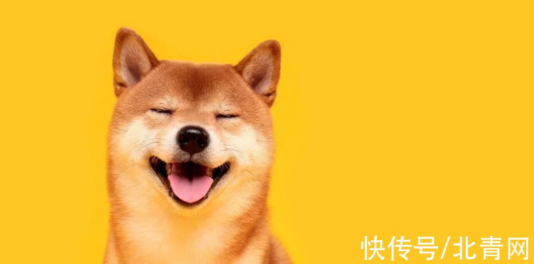 体味|每个人都有自己的味道，究竟什么是体味？