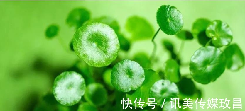 炎症|比“抗衰”更重要!它才是日常护肤的刚需,很多人都做错了