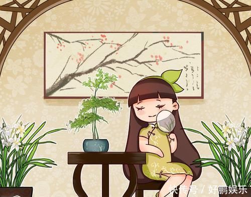 4种不同风格的花,谁见了都爱养,各有各的气质