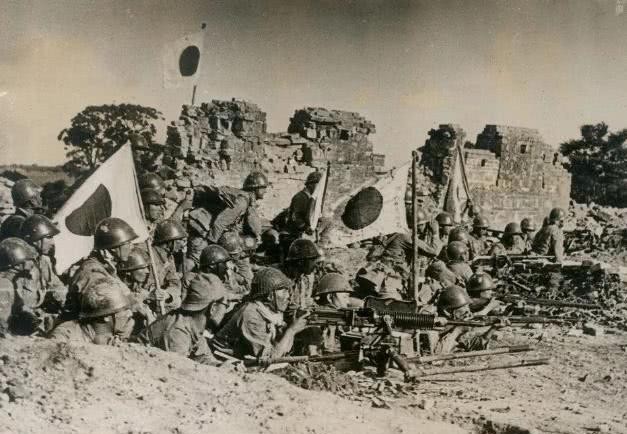 部队|这只鸟有何特别之处？将军看到后，大喊快撤