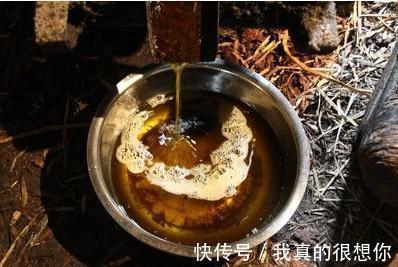 孩子|这3种油常见且很香，但尽量别给孩子吃，小心影响身体发育