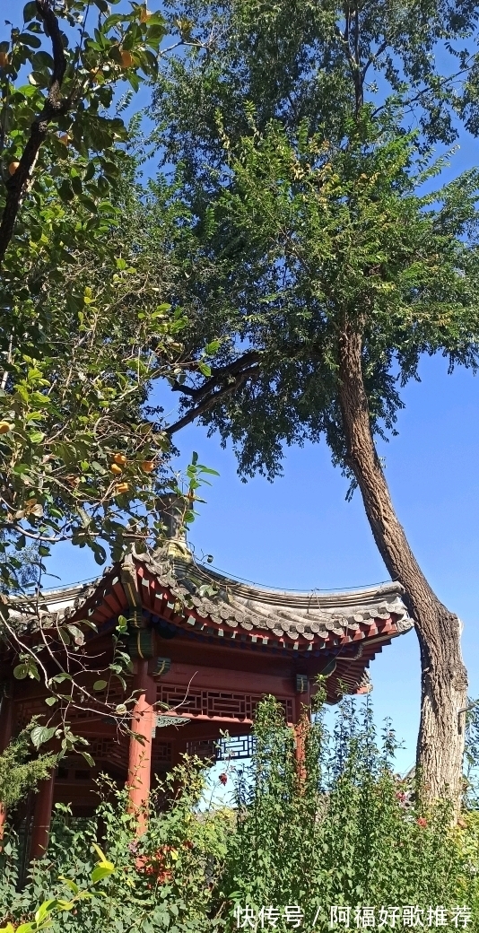 大觉寺|莱芜人在北京：游西山大觉寺