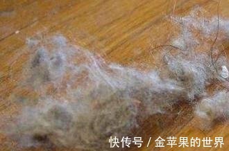 扫地机|屋里两三天没有打扫就会出现很多“毛毛”,这是怎么一回事!