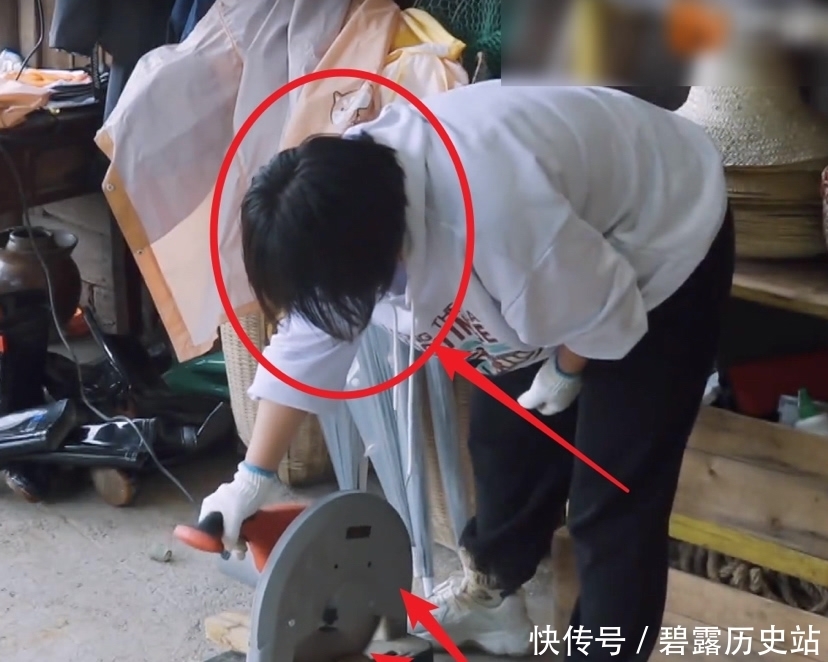 张艺兴|《向往的生活5》迎来第二位女嘉宾,和杨紫对此鲜明,张艺兴都对她夸赞不已