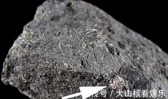利比里亚|找到这种植物就能找到钻石？被称为钻石指南针，下次碰见可别放过