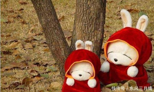 兔八哥|美国有一只兔八哥,韩国有一只流氓兔,中国有一只兔子叫……