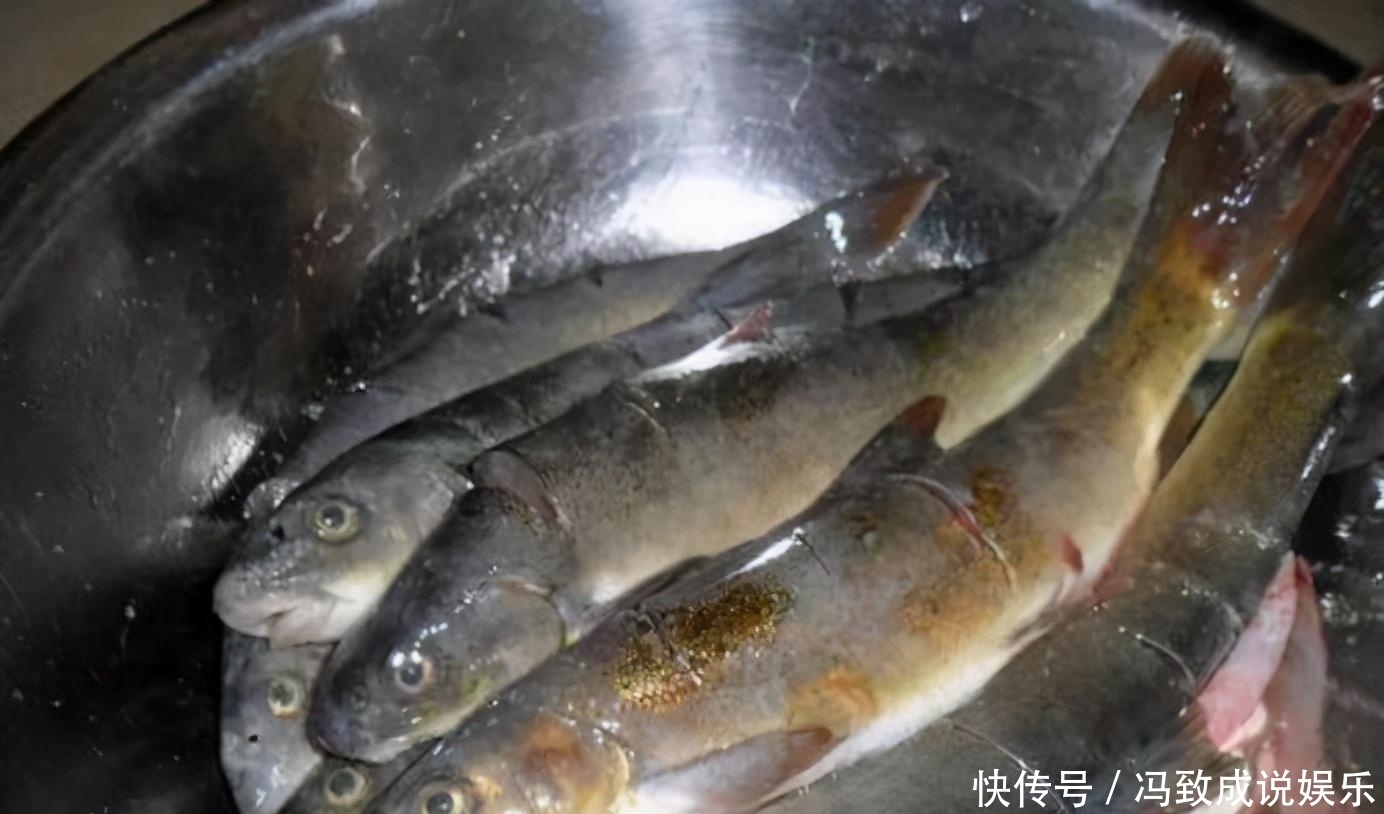 水中|神奇的古老弓鱼术，鱼离开水2天，照样鲜活