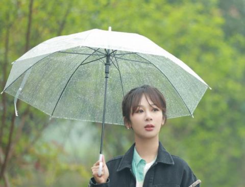 杨紫|《向往5》小算盘落空，杨紫离开节目后，老友记播放次数直线下降