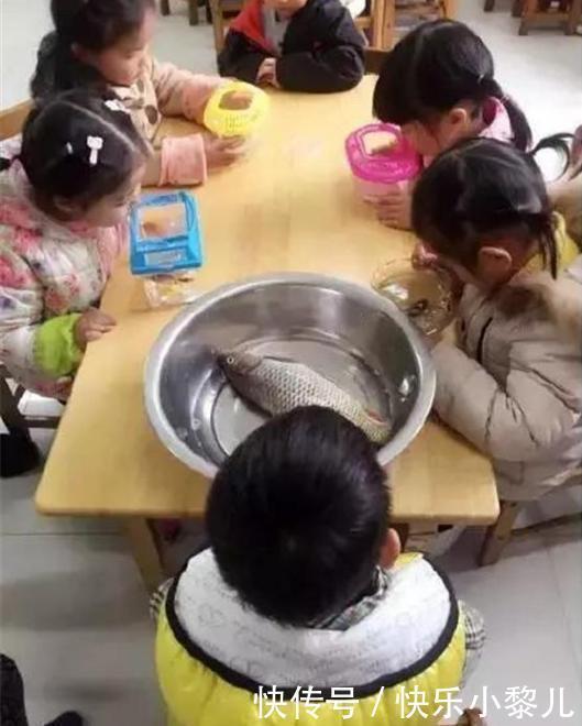 孩子|“奶奶,老师让带多肉上学”,孩子粗心传错话,老师忍不住笑出声