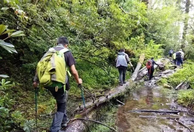 大哭|13岁男孩突发脑梗死，妈妈大哭：都是我害了你！孩子出现这些症状务必要重视