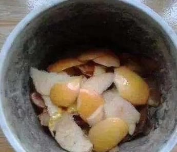 养花的旧土,加点料,秒变营养土,“肥的流油”,养啥花都旺