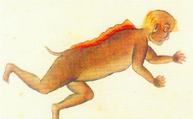 故宫|故宫这本“奇书”,里面9种“奇物”越看越可怕至今还是个谜