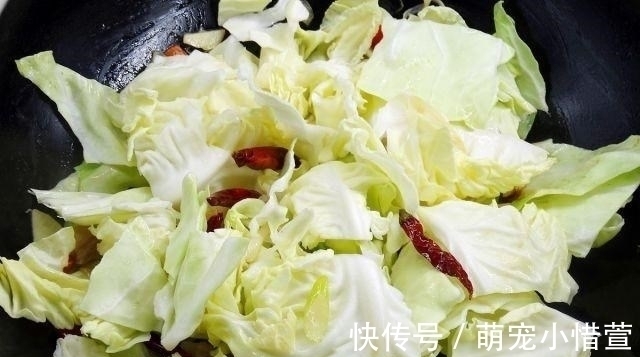 地中海|它叫“不死菜”,富含叶酸,维生素是番茄的3倍,开春吃它正合适