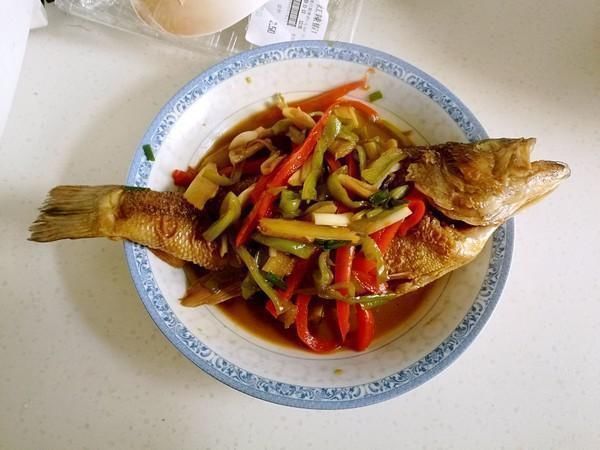 它是被“误解”最多的鱼,比鲤鱼营养,浑身是宝,7元1斤无人问