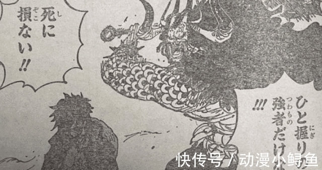 海贼王|海贼王1010:路飞发动“神避”,致敬罗杰!索隆9刀流比肩御田!
