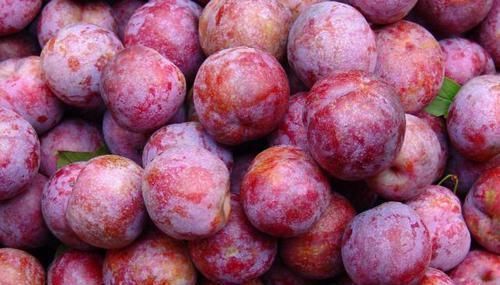 糖尿病患者|糖尿病的“克星”找到了,工资再少也要多吃4物,血糖或许悄悄降