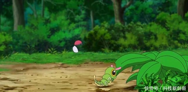 宝可梦剑盾6集菜鸟训练家小豪出道,收服精灵不打全靠扔球!