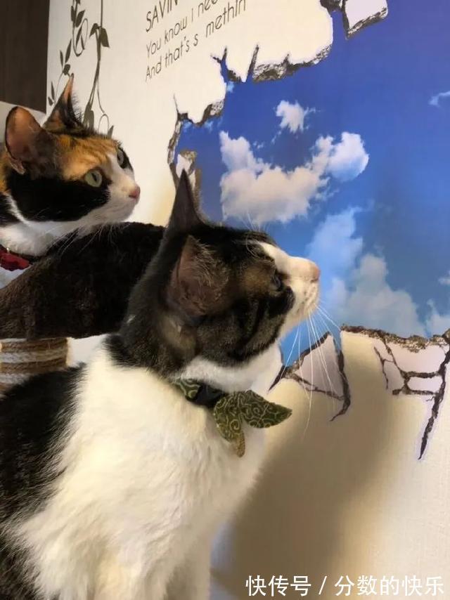 |朋友在你脱单路上的重要性 冷段子1794