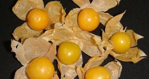 姑娘果|对身体很好的三种食物，女性常吃，刮油消脂，补水润肤，延缓衰老