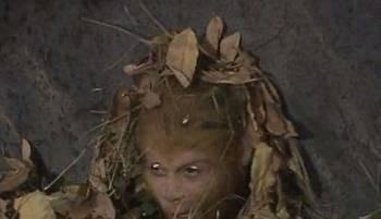 黑熊精本身|从五行山出来后,孙悟空为啥打不赢黑熊精看看他缺了什么