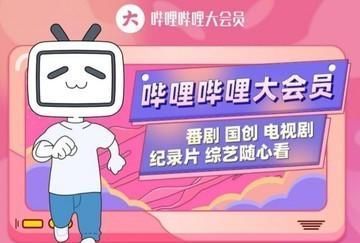 用户|从“小破站”到“叔叔”,B站真的出息了吗?