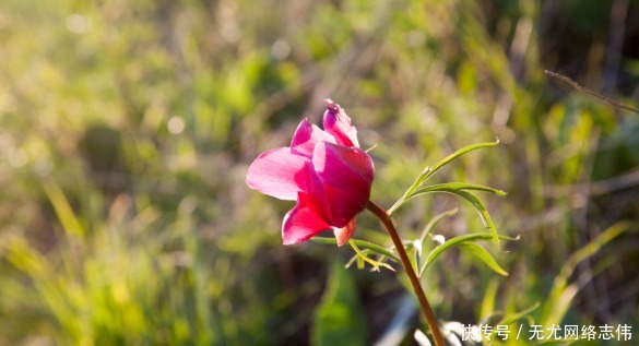 雍正|一个家庭在落败之前,家里会出现这些“特征”,早知道早好