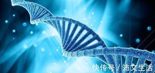 超声|甲状腺结节会是癌吗?需要做哪些检查?基因检测有什么用呢?