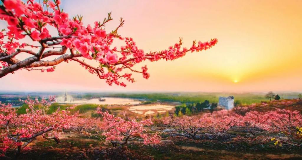 老年|超期待！邳州这个景区入选全省重点！