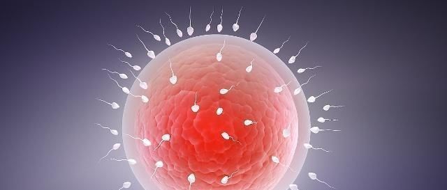 比自然分娩|试管婴儿和自然怀孕孩子,最大区别可能不是寿命长短,而是这点