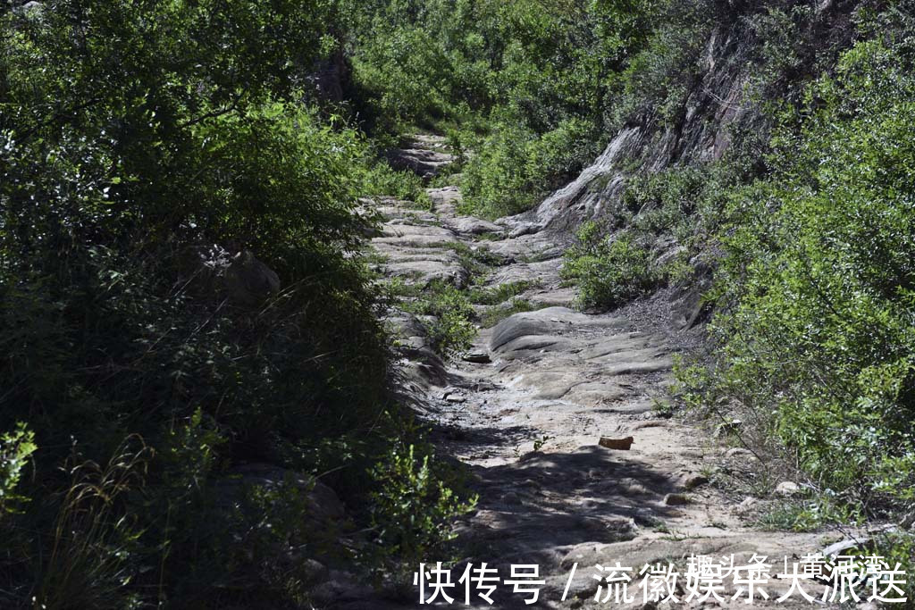 虞公|3000年前人工开凿一条小道穿越中条山，向中原运送一种生活必需品