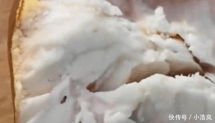 都不认识|南方朋友寄来2个水果,都没人能叫出名字,打开后“傻眼”了