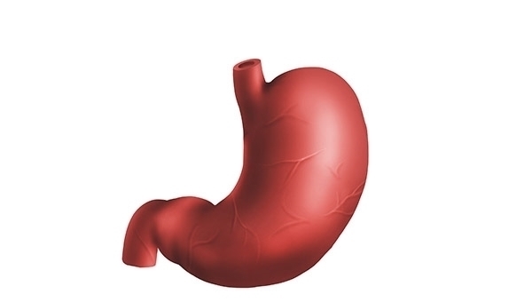 肠胃消化|为什么总是说吃饭吃到七分饱,就行了?吃太饱有什么影响吗?