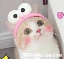 强哥|熊出没光头强曾经用过的手机,每一个都不一般,最后一个买不起